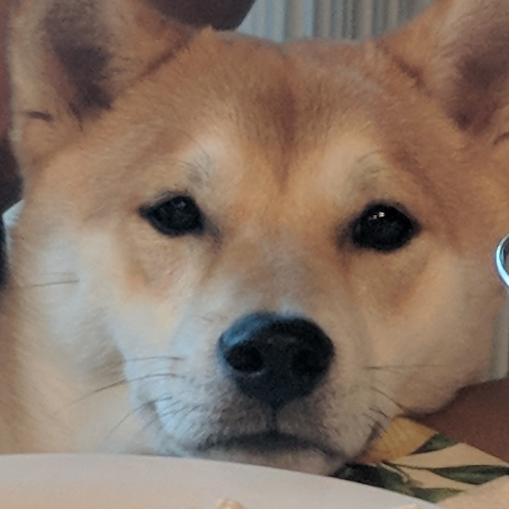 Meet your Posher, Charlie